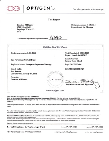 Message CEA Report